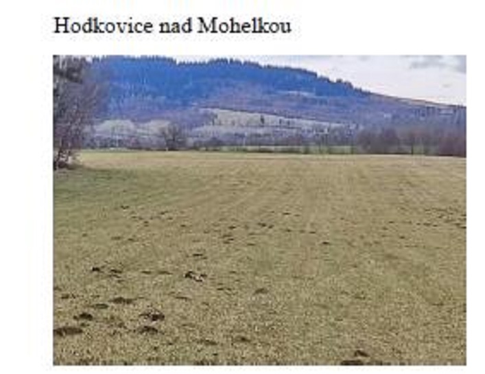 Pozemky Hodkovice nad Mohelkou a Radostín u Sychrova - podíl 1/5